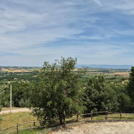 Il Corbezzolo